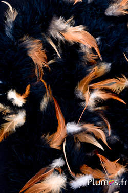 Boa avec des plumes de coq - Ø 3 cm - noir
